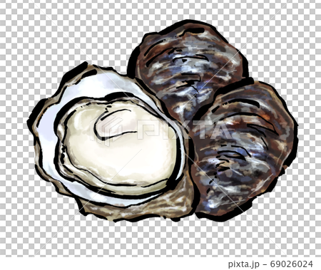 牡蠣のイラスト かき カキのイラスト素材 牡蠣のイラスト かき カキのイラスト素材