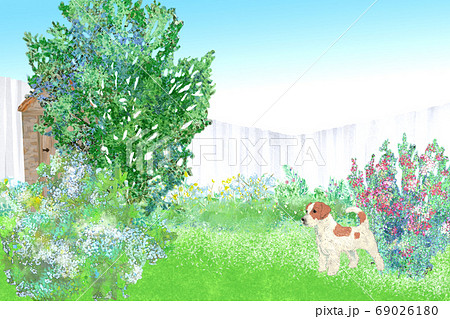 手描き風景イラスト犬が遊ぶ花咲く初夏の庭のイラスト素材