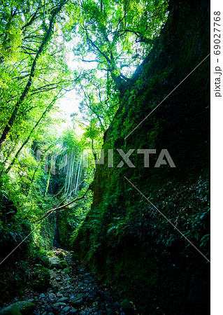 伊尾木洞 69027768