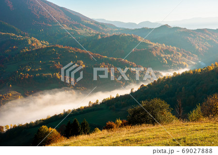 foggy morning in autumn mountains. countryside scenery in fall c foggy morning in autumn mountains. countryside scenery in fall c 69027888