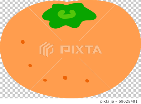 Mandarin orange illustration material Mandarin orange illustration material 69028491