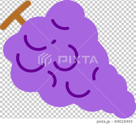 Grape illustration material 69028493
