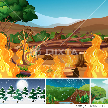 Four different nature disaters scene of forest in Four different nature disaters scene of forest in 69029315