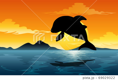 Outdoor nature silhouette sunset scene Outdoor nature silhouette sunset scene 69029322