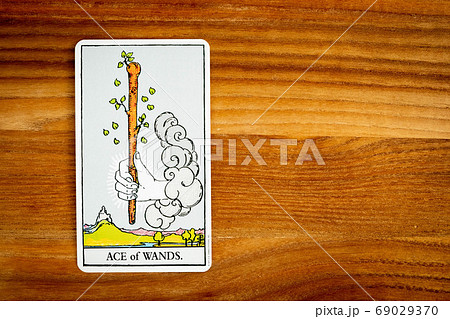 タロットカード　小アルカナ　ワンド1　エース 69029370