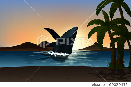 Outdoor nature silhouette sunset scene 69029455