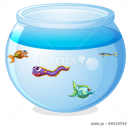 Cute fishes in the tank cartoon isolated Cute fishes in the tank cartoon isolated 69029593
