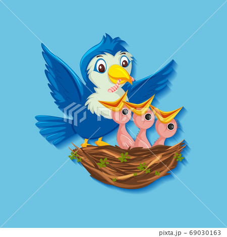 Mother bird feeding chicks 69030163
