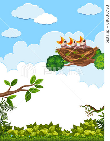 Chicks and its mother bird in nature Chicks and its mother bird in nature 69030793