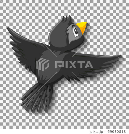 Black bird cartoon character Black bird cartoon character 69030818