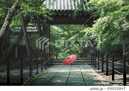 初夏の光明寺 69030847