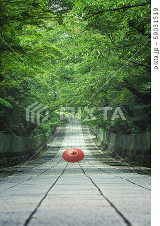 初夏の向日神社 69031519