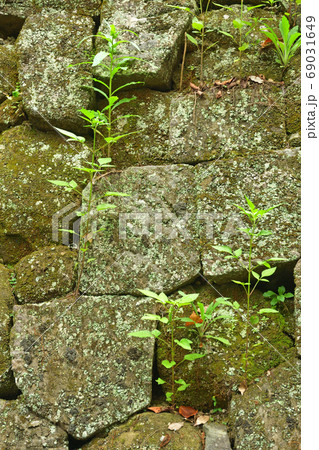 秩父散歩：小野原稲荷神社　石垣 69031649