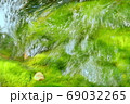 コロナ禍で緑に包まれた清流で心を癒し自然の恵みに浸る 69032265