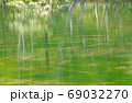 コロナ禍で緑に包まれた清流で心を癒し自然の恵みに浸る 69032270