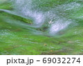 コロナ禍で緑に包まれた清流で心を癒し自然の恵みに浸る 69032274