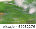 コロナ禍で緑に包まれた清流で心を癒し自然の恵みに浸る 69032276