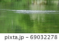 コロナ禍で緑に包まれた清流で心を癒し自然の恵みに浸る 69032278