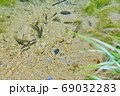 コロナ禍で緑に包まれた清流で心を癒し自然の恵みに浸る 69032283