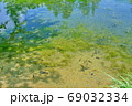 コロナ禍で緑に包まれた清流で心を癒し自然の恵みに浸る 69032334