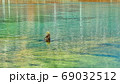 コロナ禍で緑に包まれた清流で心を癒し自然の恵みに浸る 69032512