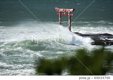 安房勝浦遠見岬神社海中鳥居と荒波 69034790