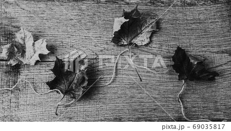 Autumn composition of dry leaves on an old Board 69035817