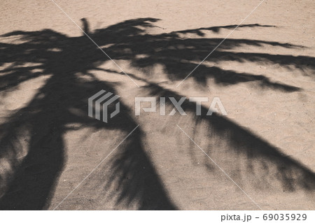 砂浜の上のヤシの木のシルエット 69035929