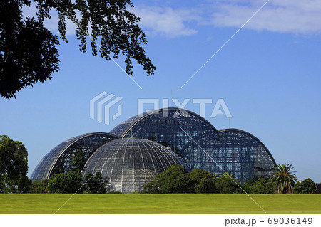 夢の島熱帯植物園(夏) 夢の島熱帯植物園(夏) 69036149