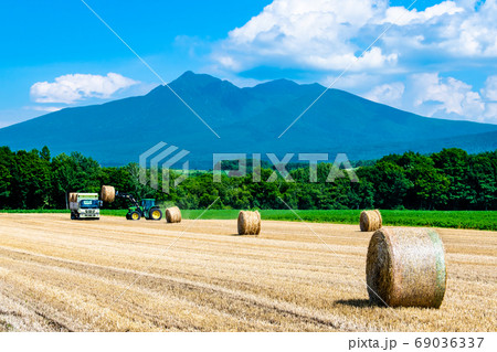 北海道　斜里町の田園風景（斜里岳と麦わらロール） 69036337