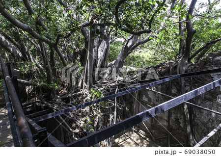 台湾 階段 段 69038050