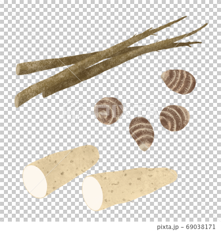 Hand-drawn illustration of root vegetables 69038171