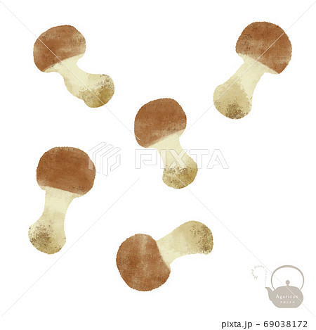 アガリクスの手描きイラスト 69038172