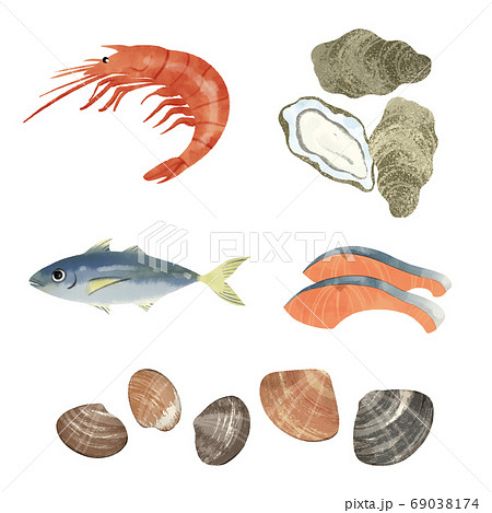 魚介の手描きイラストのイラスト素材