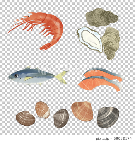 Seafood hand drawn illustration 69038174