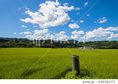 青空と田んぼ 青空と田んぼ 69038273
