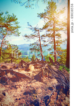 Fairy Tale Forest in Retro Style. Paper Vintage Textured. Mountain Landscape 69038556