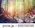 Fairy Tale Forest in Retro Style. Paper Vintage Textured. Mountain Landscape 69038566