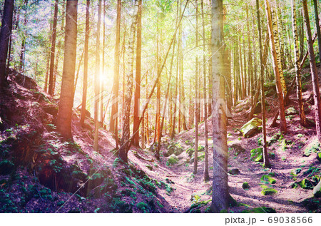 Fairy Tale Forest in Retro Style. Paper Vintage Textured. Mountain Landscape Fairy Tale Forest in Retro Style. Paper Vintage Textured. Mountain Landscape 69038566