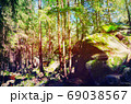Fairy Tale Forest in Retro Style. Paper Vintage Textured. Mountain Landscape 69038567