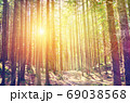 Fairy Tale Forest in Retro Style. Paper Vintage Textured. Mountain Landscape 69038568