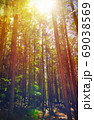 Fairy Tale Forest in Retro Style. Paper Vintage Textured. Mountain Landscape 69038569