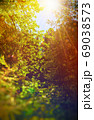 Fairy Tale Forest in Retro Style. Paper Vintage Textured. Mountain Landscape 69038573