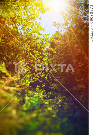 Fairy Tale Forest in Retro Style. Paper Vintage Textured. Mountain Landscape Fairy Tale Forest in Retro Style. Paper Vintage Textured. Mountain Landscape 69038573