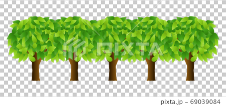 樹木 69039084