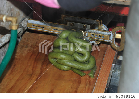 ヨモギ餅 作る 餅 69039116