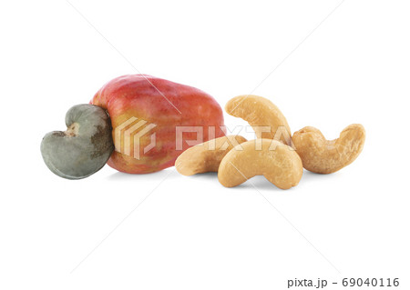 Fresh cashew nuts and roasted cashew nuts with 69040116