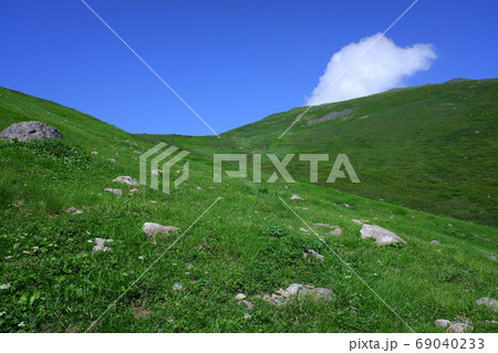 月山と高山植物 月山と高山植物 69040233