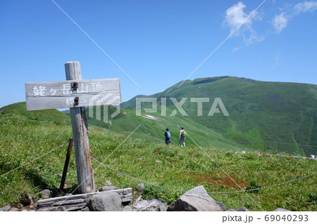 月山と高山植物 月山と高山植物 69040293