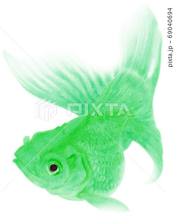 泳ぐ緑色の金魚 キリヌキ 白バックのイラスト素材